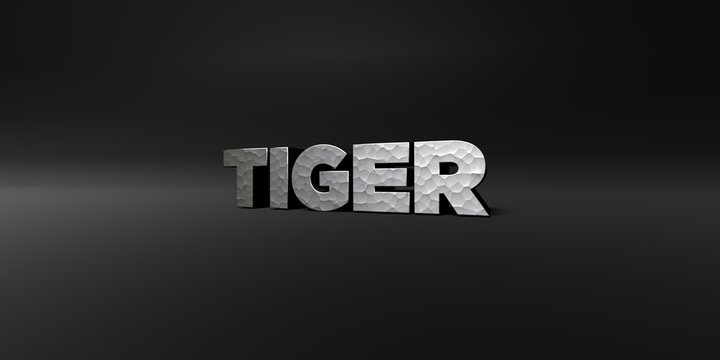 TIGER - hammered metal finish text on black studio - 3D rendered royalty free stock photo. This image can be used for an online website banner ad or a print postcard.