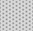 © Blazena Kamasova - Flower of life seamless pattern, vector illustration