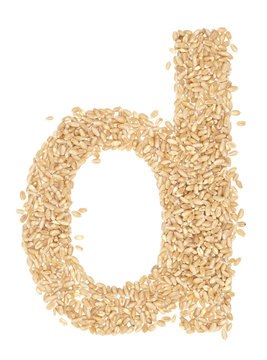 wheat berries