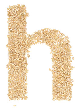 wheat berries