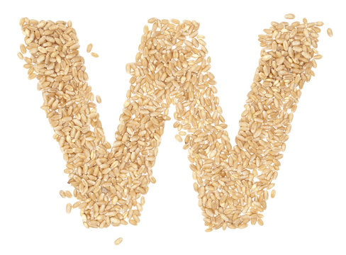 wheat berries