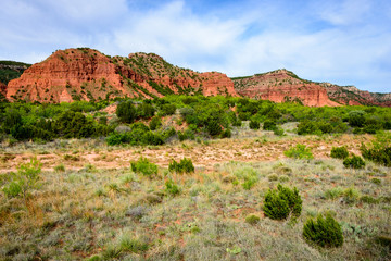 Wall Mural - Caprock Canyons State Park and Trailway