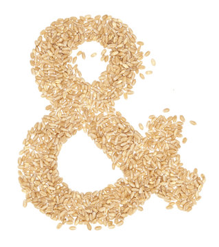 wheat berries
