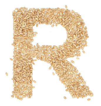 wheat berries