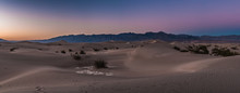 Blue Hour At Mesquite Dunes