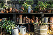 Romantic Idyllic Plant Table In The Garden With Old Retro Flower Pot Pots, Tools And Plants