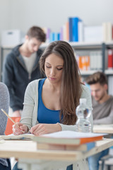 Wall Mural - Girl studying at desk