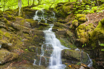  Fließendes Wasser in den Birks of Aberfeldy, Schottland