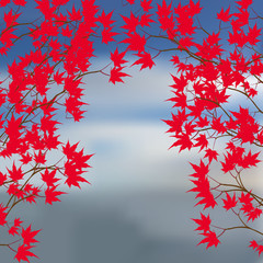 Wall Mural - Greeting card of the autumn landscape. Red maple leaves on the branches on either side. Japanese red maple on a background of the sea illustration
