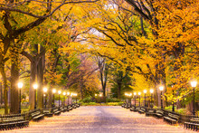 Central Park In New York City. Predawn During Autumn On The Mall.