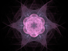 Digital Abstract Fractal Pink Star Flower On Black Background