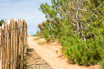 Sticker - Wooden fence on Atlantic beach in France