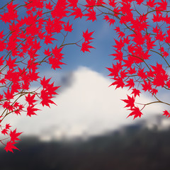 Wall Mural - Greeting card with autumn landscape. Red maple leaves on branches on both sides. Japanese red maple on a background of mountains with snow-capped peaks.