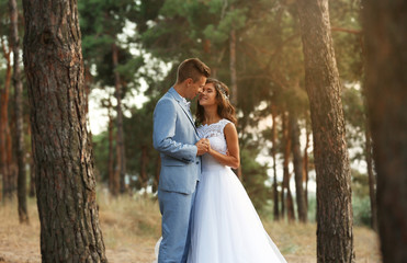 Wall Mural - Beautiful wedding couple in coniferous forest