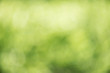 © peangdao - Green nature blur background, Green nature defocus and abstract