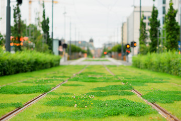 Wall Mural - Oslo railway with green grass background