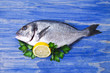 Fish, gilthead with parsley and lemon on blue wooden background
