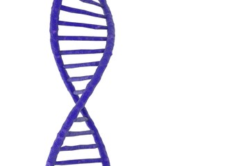 DNA molecule structure isolated in white. 3d illustration