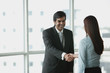 © Alexander - Businessman and businesswoman shaking hands