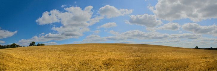 Canvas Print - field agriculture farm crops england uk