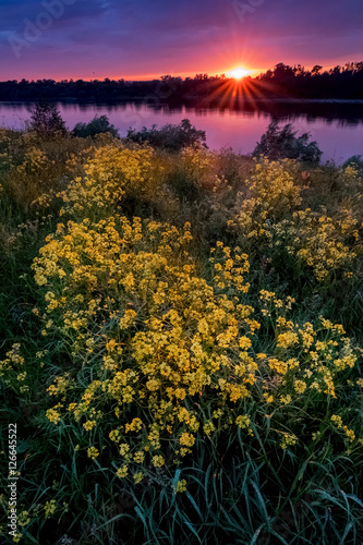 Fotografia, Obraz Summer Sunset above field and river