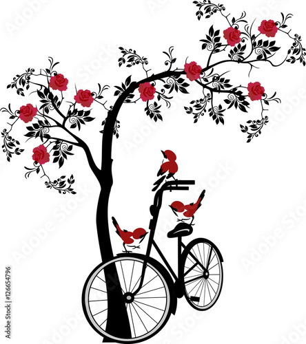 Obraz w ramie tree with cycle and birds