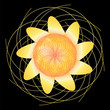 © baronred - Multicolored flower pattern