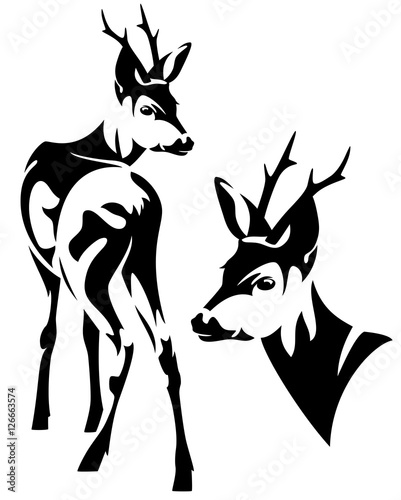 Cuadros en Lienzo roe deer black and white vector design