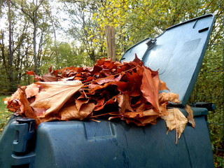 Wall Mural - Compost bin full of autumn leaves to provide leaf mulch