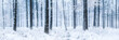 canvas print picture - Wald Panorama im Winter