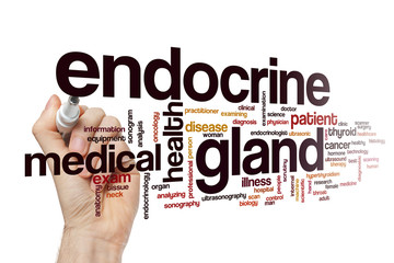 Canvas Print - Endocrine gland word cloud concept