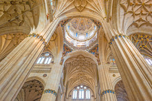 Detail Of The Medieval Cathedral Of Salamanca