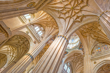 detail of the medieval cathedral of salamanca
