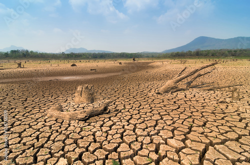 Global warming, Drought. Poster Mural XXL