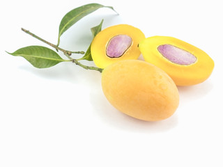 Ma prang, mayongchid, plum mango, marian mango or bouea macrophylla with its leaves, selective focus over white background