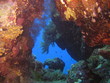 Unterwasser-Landschaft