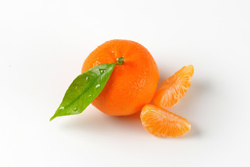 Sticker - washed tangerine with separated segments