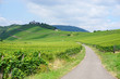 © Karen Albers - Zwischen den Weinbergen an der Mosel