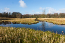 The Oeverlanden, A Marsh Area With A Rich Natural Diversity Including Many Birds, Wild Orchids And Rare Plants