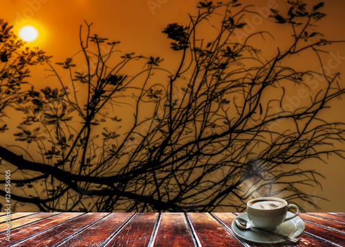 Silhouette of tree branch during twilight sky and sun set with g Poster
