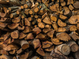 Fototapeta  - Pile of wood