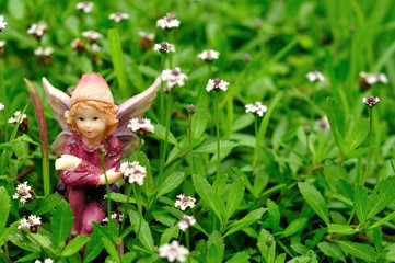 A fairy sitting in a field of small white flowers