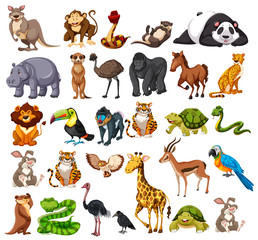 Wall Mural - Different types of wild animals on white