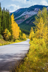 Wall Mural -  The asphalt road runs