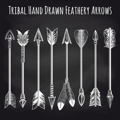 Wall Mural - hand drawn feathery arrows collection on chalkboard background. vector illustration