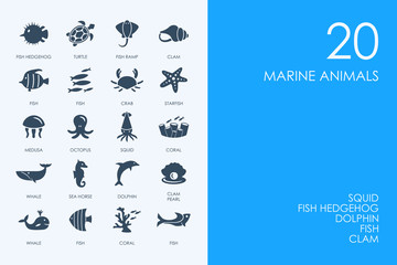 Canvas Print - Set of BLUE HAMSTER Library marine animals icons