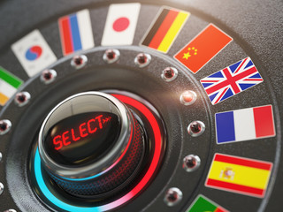 Poster - Online learning language or choice language on the web site conc