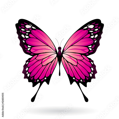 Naklejka na szybę Kolorowy różowy motyl - ilustracja