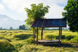 Old hut in wood pillars and rusty galvanized iron roof at farmland, paddy field and jack fruit tree 