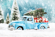 Merry Christmas Tree Transporter